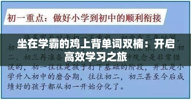 坐在学霸的鸡上背单词双楠：开启高效学习之旅