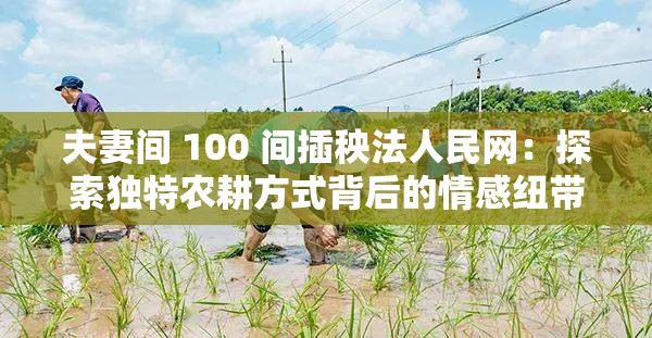 夫妻间 100 间插秧法人民网：探索独特农耕方式背后的情感纽带