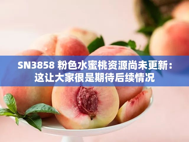 SN3858 粉色水蜜桃资源尚未更新：这让大家很是期待后续情况