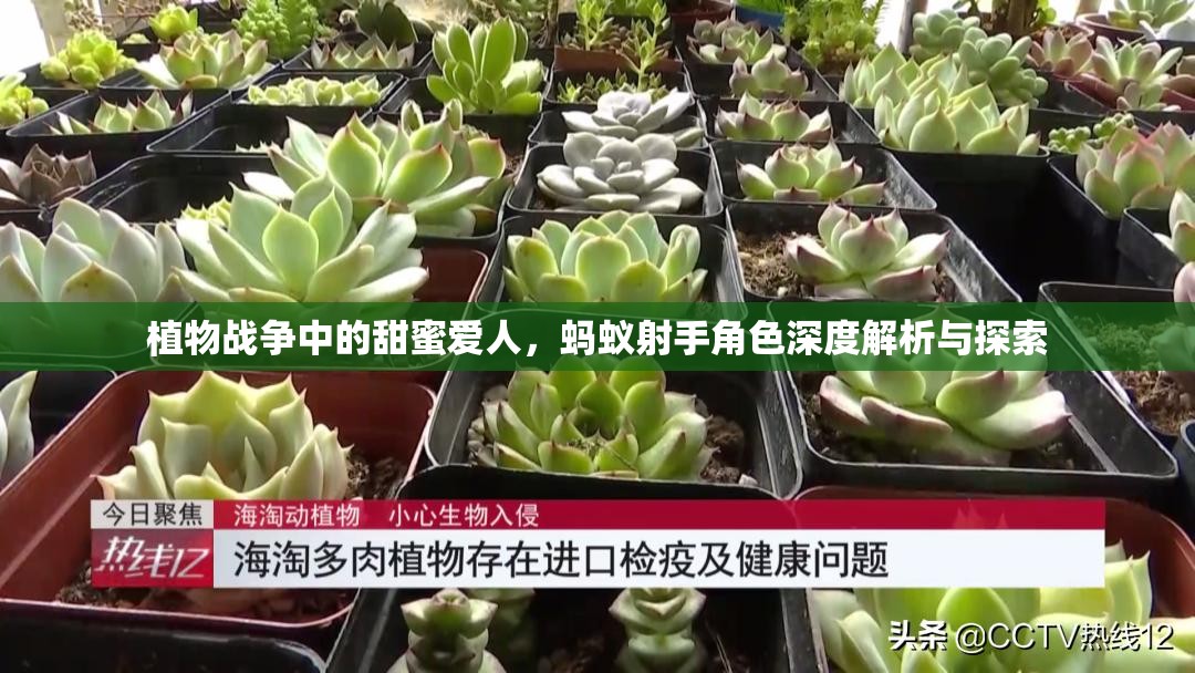 植物战争中的甜蜜爱人，蚂蚁射手角色深度解析与探索