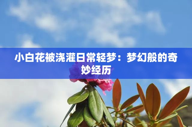 小白花被浇灌日常轻梦：梦幻般的奇妙经历