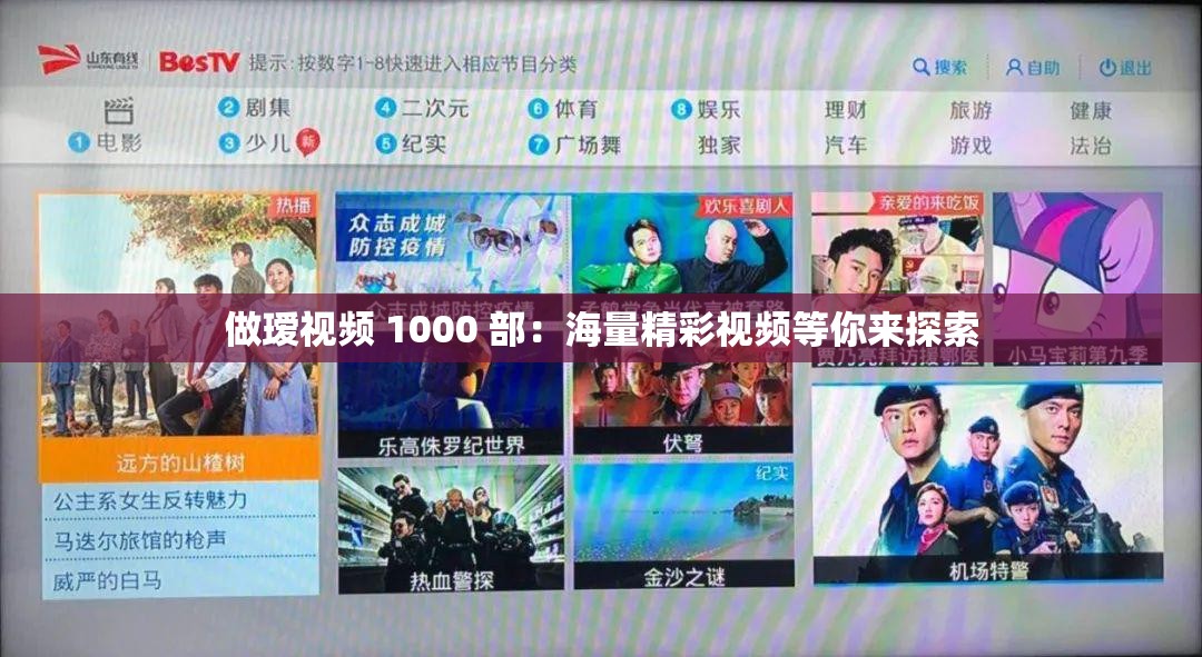 做瑷视频 1000 部：海量精彩视频等你来探索