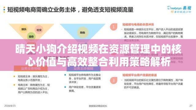 晴天小狗介绍视频在资源管理中的核心价值与高效整合利用策略解析