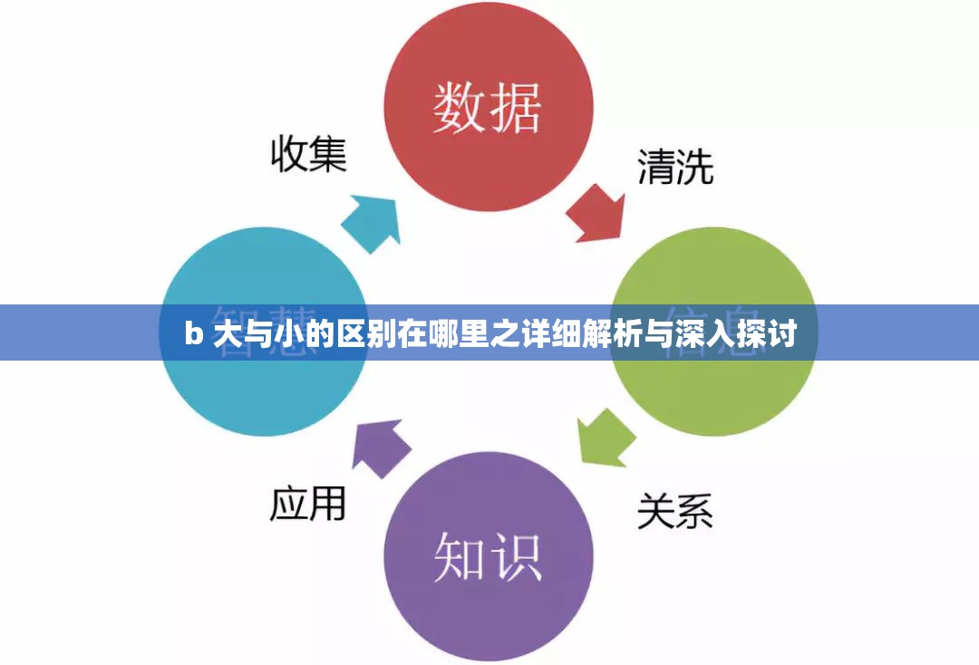 b 大与小的区别在哪里之详细解析与深入探讨