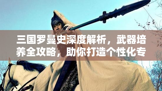 三国罗曼史深度解析，武器培养全攻略，助你打造个性化专属神兵