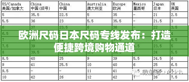 欧洲尺码日本尺码专线发布：打造便捷跨境购物通道