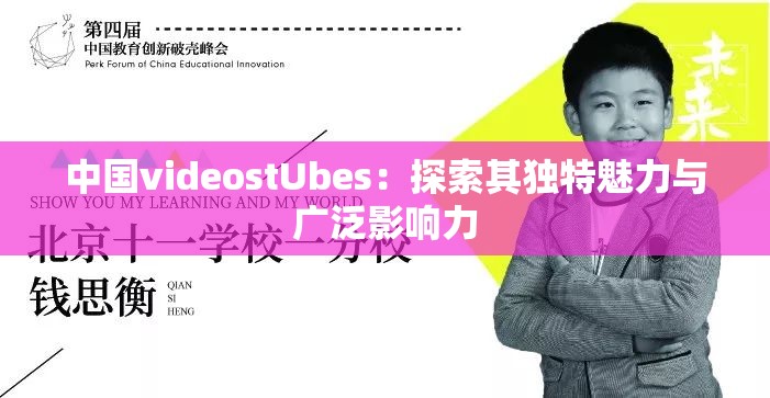 中国videostUbes：探索其独特魅力与广泛影响力