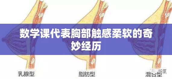 数学课代表胸部触感柔软的奇妙经历