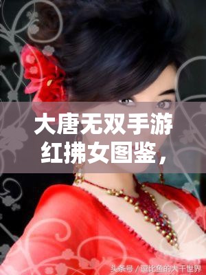 大唐无双手游红拂女图鉴，解析其在资源管理中的重要性及高效利用实战策略