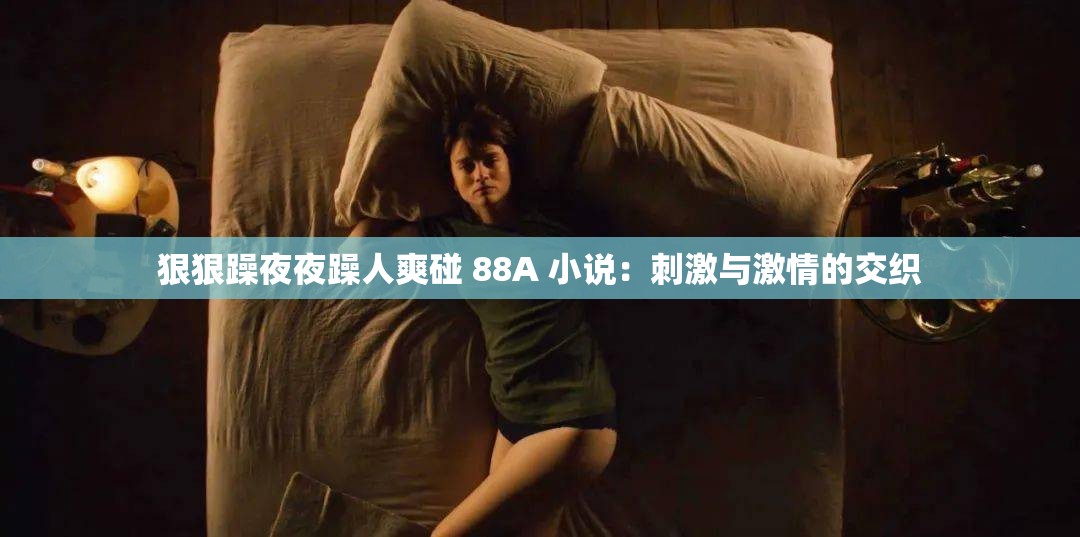 狠狠躁夜夜躁人爽碰 88A 小说：刺激与激情的交织