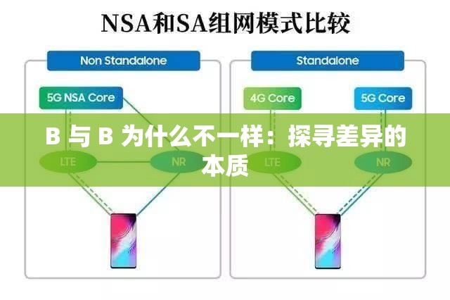 B 与 B 为什么不一样：探寻差异的本质