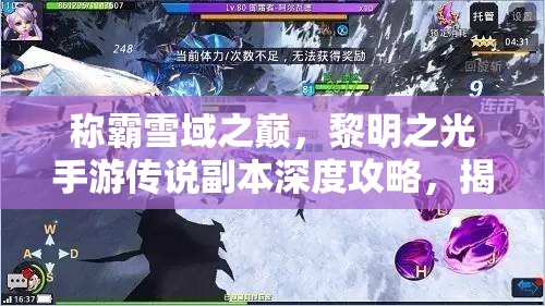 称霸雪域之巅，黎明之光手游传说副本深度攻略，揭秘资源管理艺术