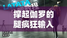 撑起伽罗的腿疯狂输入的视频网站：带你领略不一样的精彩世界