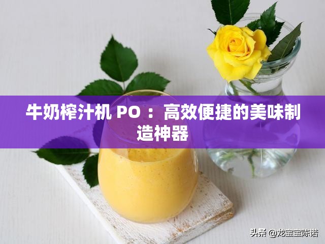 牛奶榨汁机 PO ：高效便捷的美味制造神器