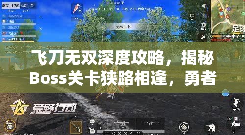 飞刀无双深度攻略，揭秘Boss关卡狭路相逢，勇者制胜的必胜策略