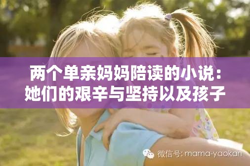 两个单亲妈妈陪读的小说：她们的艰辛与坚持以及孩子的成长故事