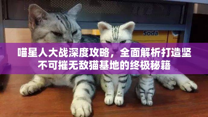 喵星人大战深度攻略，全面解析打造坚不可摧无敌猫基地的终极秘籍