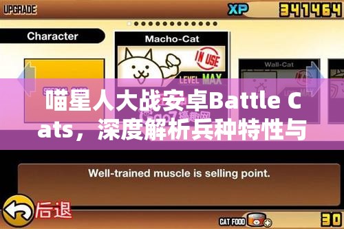 喵星人大战安卓Battle Cats，深度解析兵种特性与炮塔搭配策略