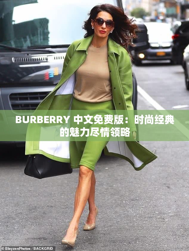 BURBERRY 中文免费版：时尚经典的魅力尽情领略