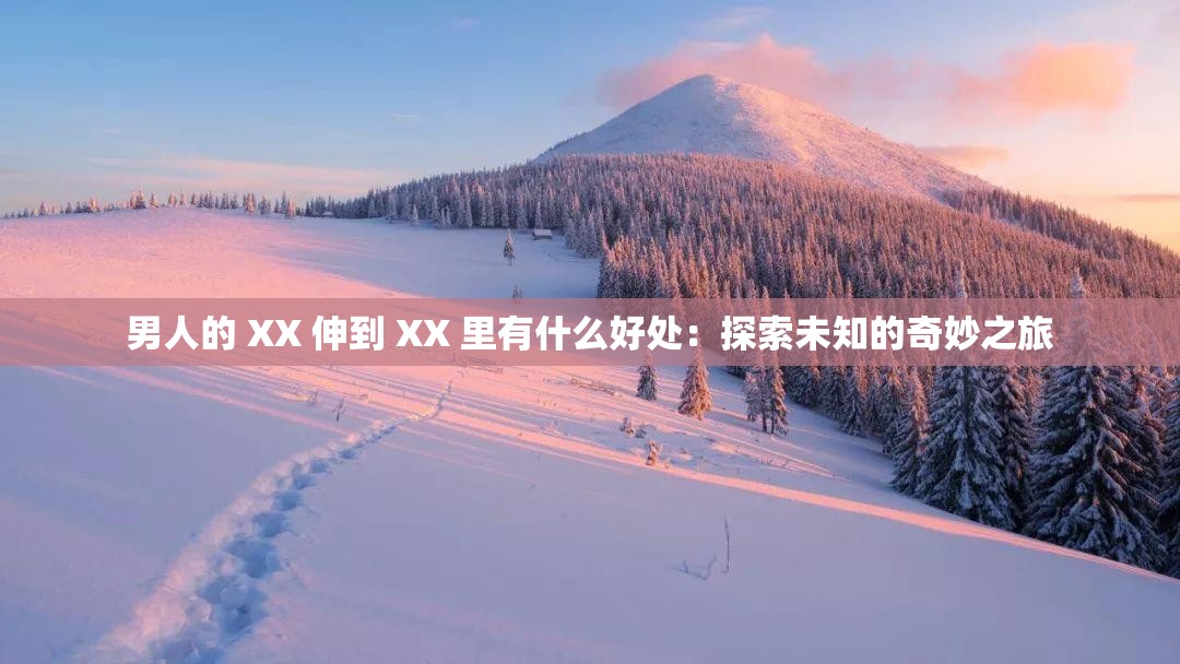 男人的 XX 伸到 XX 里有什么好处：探索未知的奇妙之旅