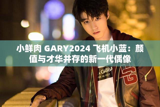 小鲜肉 GARY2024 飞机小蓝：颜值与才华并存的新一代偶像