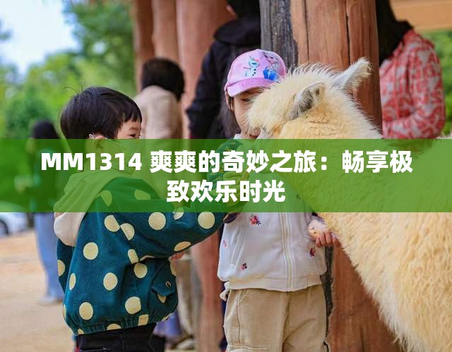 MM1314 爽爽的奇妙之旅：畅享极致欢乐时光