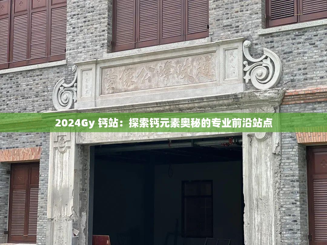 2024Gy 钙站：探索钙元素奥秘的专业前沿站点