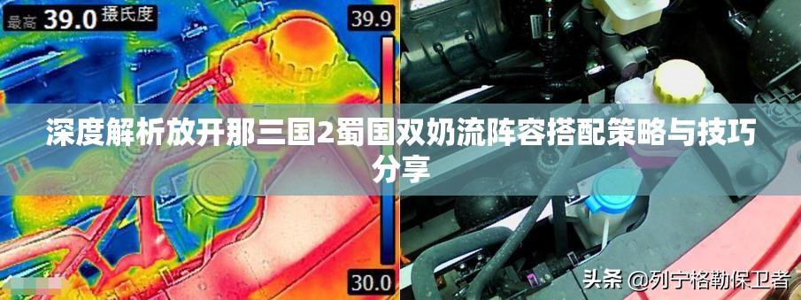 深度解析放开那三国2蜀国双奶流阵容搭配策略与技巧分享