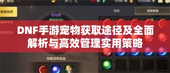 DNF手游宠物获取途径及全面解析与高效管理实用策略