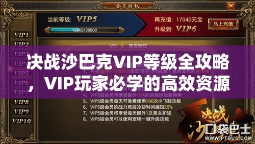 决战沙巴克VIP等级全攻略，VIP玩家必学的高效资源管理艺术与技巧