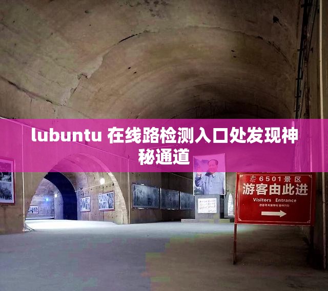 lubuntu 在线路检测入口处发现神秘通道