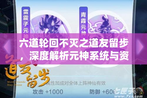 六道轮回不灭之道友留步，深度解析元神系统与资源管理艺术攻略