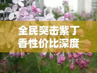 全民突击紫丁香性价比深度剖析，当前版本最强狙击兵，实至名归的王者之选