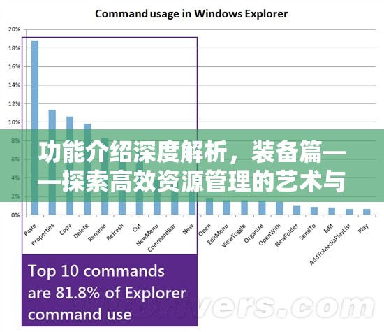 功能介绍深度解析，装备篇——探索高效资源管理的艺术与策略