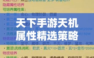 天下手游天机属性精选策略与资源管理高效优化指南详解