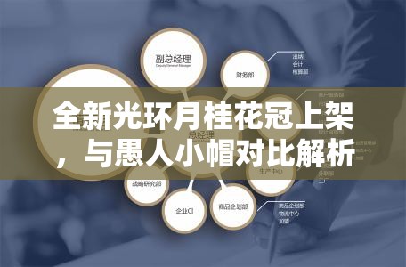 全新光环月桂花冠上架，与愚人小帽对比解析及其资源管理战略意义