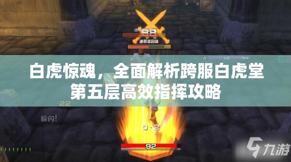 白虎惊魂，全面解析跨服白虎堂第五层高效指挥攻略