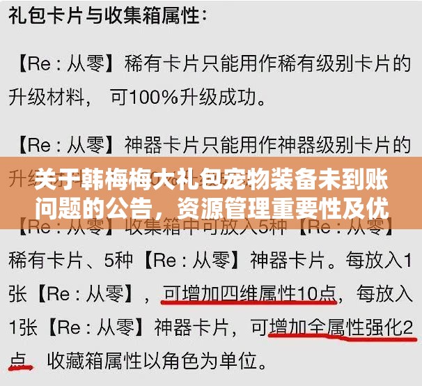 关于韩梅梅大礼包宠物装备未到账问题的公告，资源管理重要性及优化策略探讨