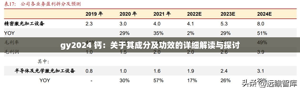 gy2024 钙：关于其成分及功效的详细解读与探讨