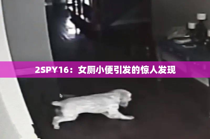 2SPY16：女厕小便引发的惊人发现