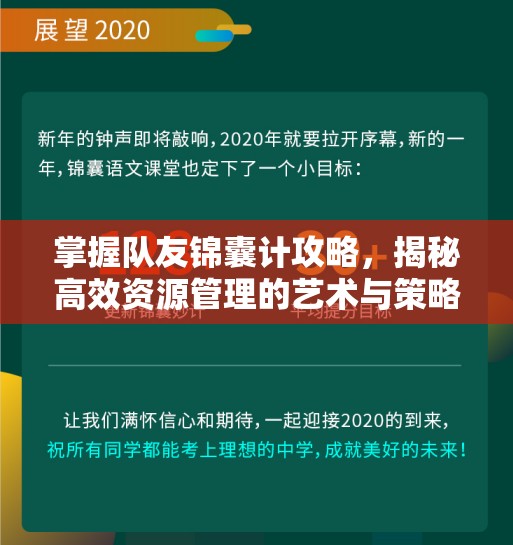 掌握队友锦囊计攻略，揭秘高效资源管理的艺术与策略