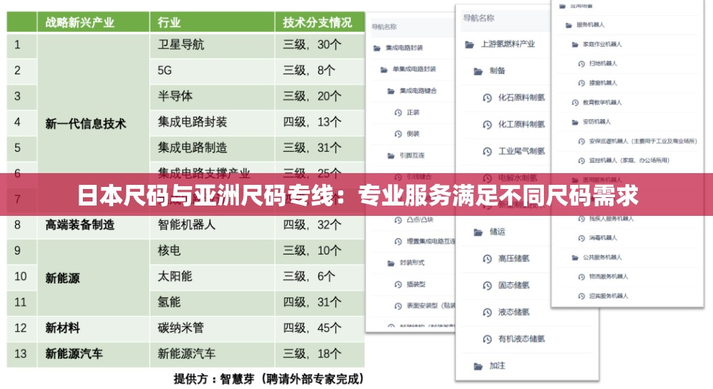 日本尺码与亚洲尺码专线：专业服务满足不同尺码需求