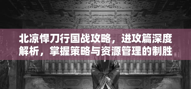 北凉悍刀行国战攻略，进攻篇深度解析，掌握策略与资源管理的制胜艺术