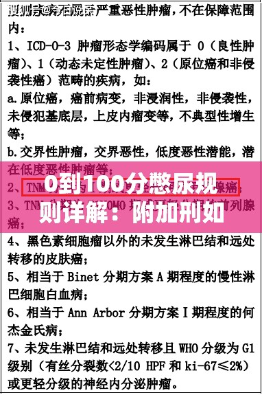 0到100分憋尿规则详解：附加刑如何影响你的生活？全面解析与实用建议