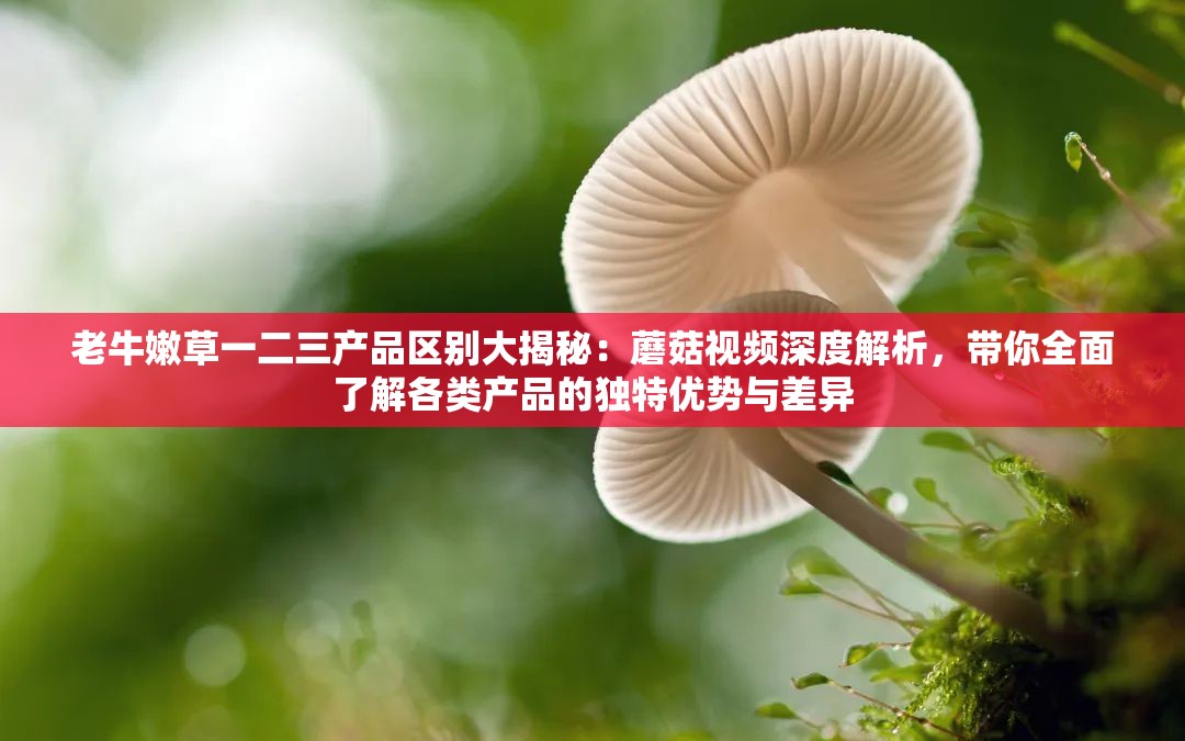 老牛嫩草一二三产品区别大揭秘：蘑菇视频深度解析，带你全面了解各类产品的独特优势与差异