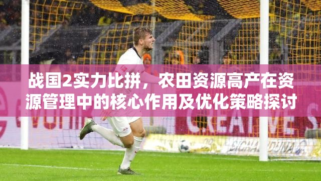 战国2实力比拼，农田资源高产在资源管理中的核心作用及优化策略探讨