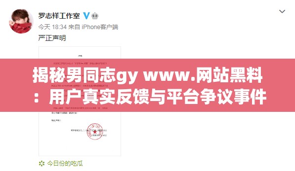 揭秘男同志gy www.网站黑料：用户真实反馈与平台争议事件深度解析