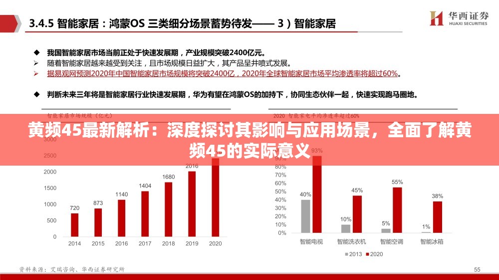 黄频45最新解析：深度探讨其影响与应用场景，全面了解黄频45的实际意义