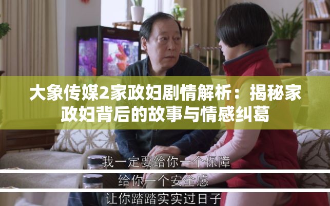 大象传媒2家政妇剧情解析：揭秘家政妇背后的故事与情感纠葛