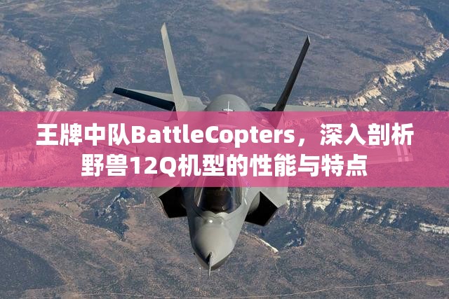 王牌中队BattleCopters，深入剖析野兽12Q机型的性能与特点